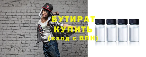 МДПВ Бородино