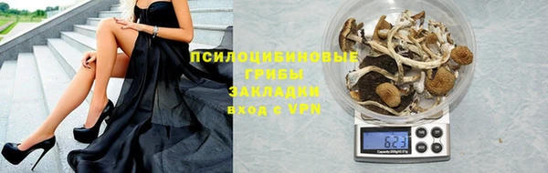 дмт Бронницы