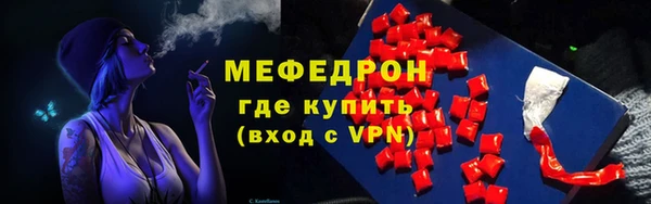 МДПВ Бородино