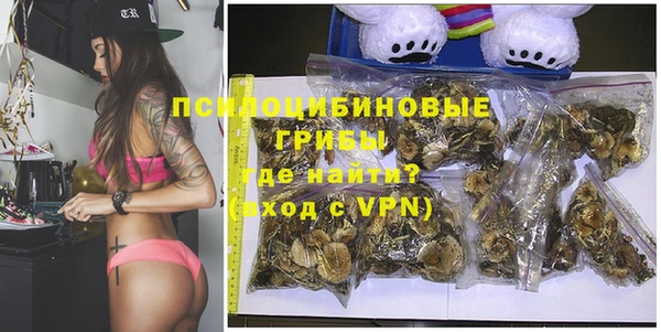 дмт Бронницы