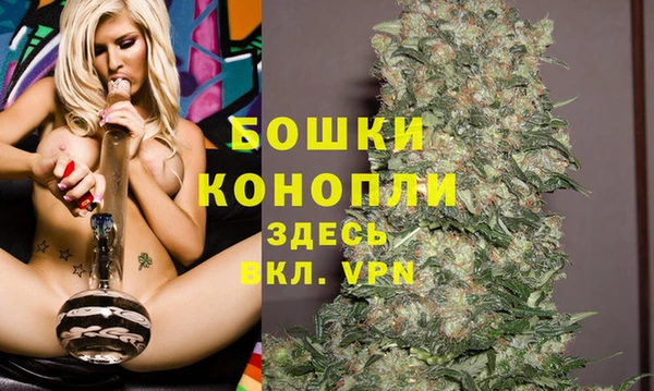 дмт Бронницы